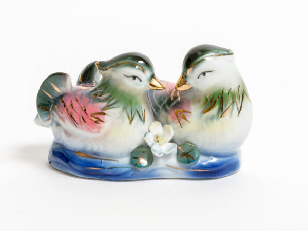 جفت اردک ماندرین